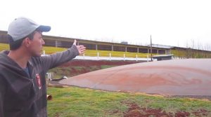 Entre Rios do Oeste, un pequeño municipio, con una población de 4.400 personas y 155.000 cerdos en el occidente del estado de Paraná, inauguró el 24 de julio una minicentral termoeléctrica a biogás.  Es producto de un acuerdo pionero promovido por el Centro Internacional de Energías Renovables-Biogás (CIBiogás), que involucra a la alcaldía, 18 porcicultores y la  Compañía Paranaense de Energía (Copel). Con potencia de 480 kilovatios, la central permitirá a la alcaldía ahorrar lo que gastaba en electricidad para sus 72 inmuebles, entre sede, oficinas, escuelas y otros servicios. Los 18 criaderos, con cerca de 39.000 cerdos, producirán el biogás que, mediante una red de 20,6 kilómetros de tuberías, llegará a la minicentral.