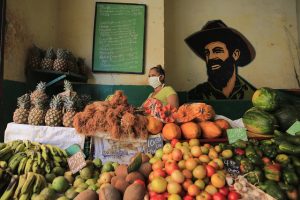 Una dependienta aguarda la llegada de clientes en una tienda de frutas y verduras de administración privada, en La Habana. Aunque la Constitución de Cuba ampara el derecho de todas las personas a una alimentación sana y adecuada, los precios de algunos alimentos como frutas y vegetales a veces resultan prohibitivos para parte de la población. Foto: Jorge Luis Baños/IPS