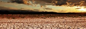 La sequía, que arruina la agricultura en regiones pobres del planeta, se intensifica con el aumento de la temperatura mundial. La ONU considera que atender el cambio climático debe ser la prioridad para todos, en todas partes. Foto: Canva Pro/CMNUCC